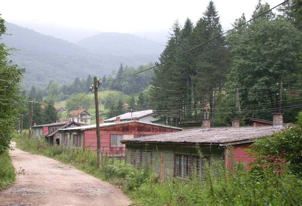 Sušica