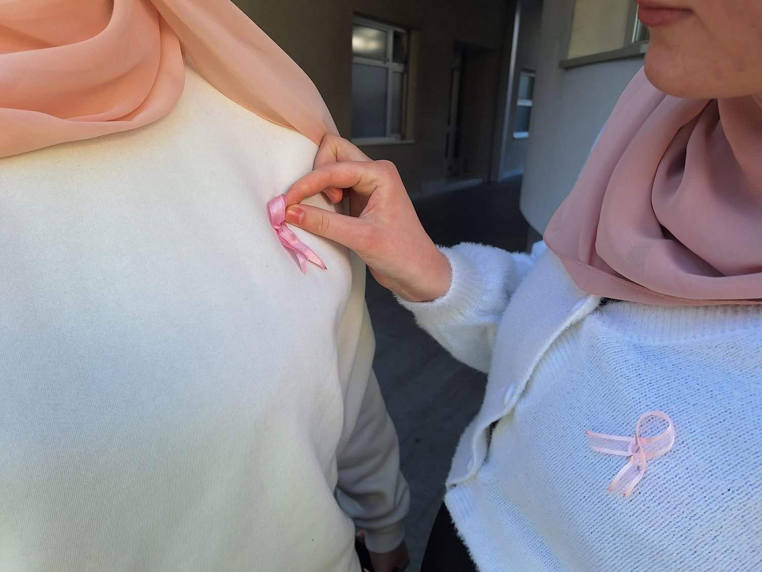 Foto: Behram-begova medresa