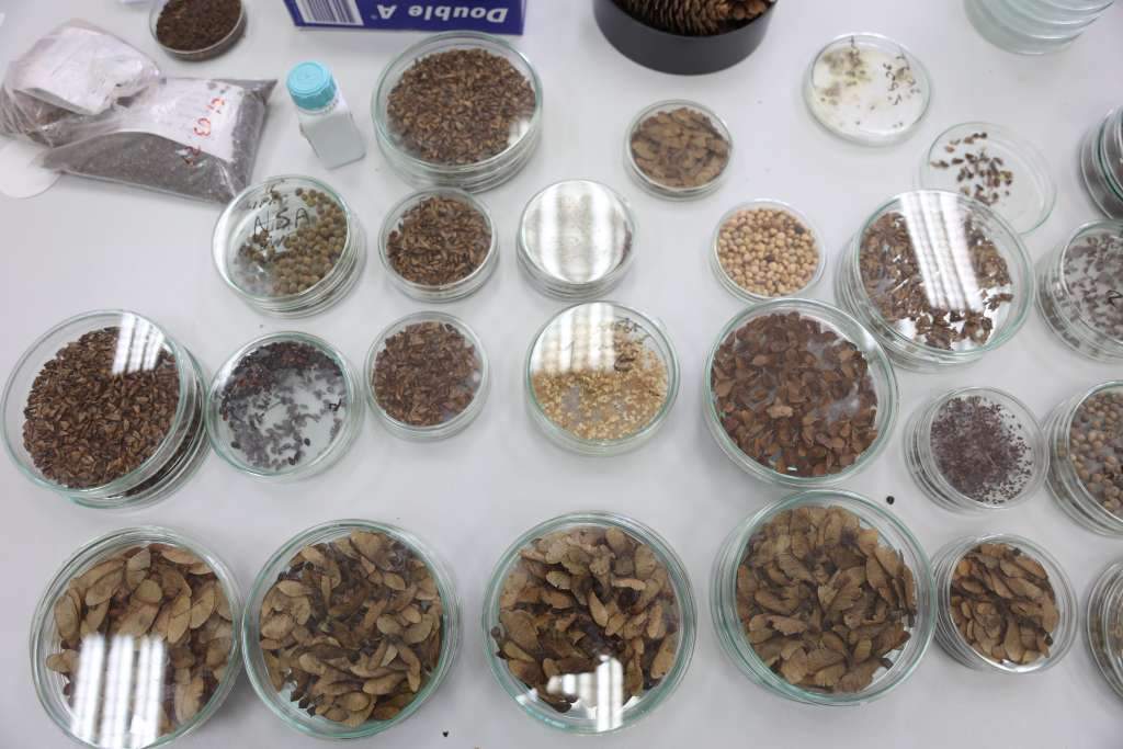 l_d54f4361d6b22b73e39214ec65e24507.jpeg - Sarajevski &Scaron;umarski fakultet u evropskom projektu FruitDiv o potencijalu divljih voćaka