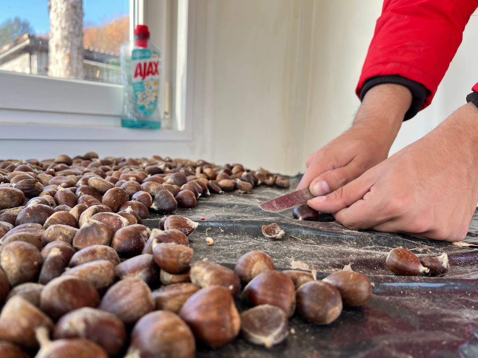 blazuj-rucak-foto-dzs-preporod-2.jpg - Ljudi u kontejnerima: Pod istim nebom, na istoj hladnoći