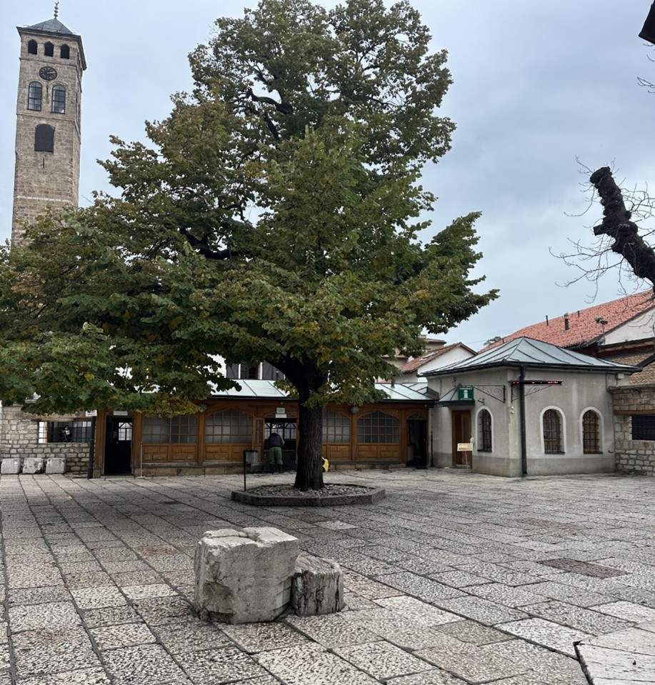 Picture3.jpg - Zanimljivosti o bosanskohercegovačkim džamijama: Džamije i mesdžidi s ezan-ta&scaron;evima