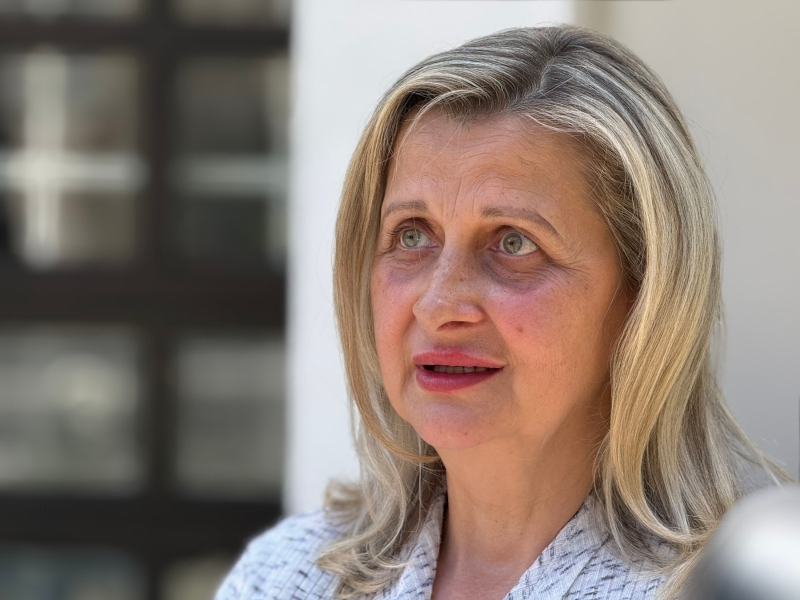 Amira Đulabić Amira Đulabić